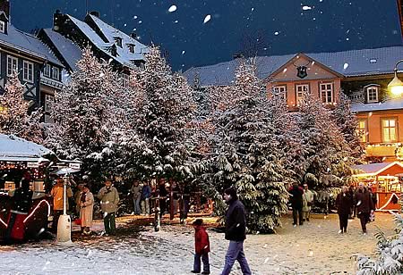 Goslarer_Weihnachts-Winter-Wald